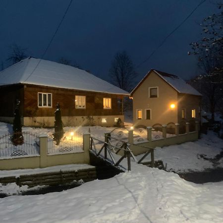 Cottage house 波多博韦齐 外观 照片