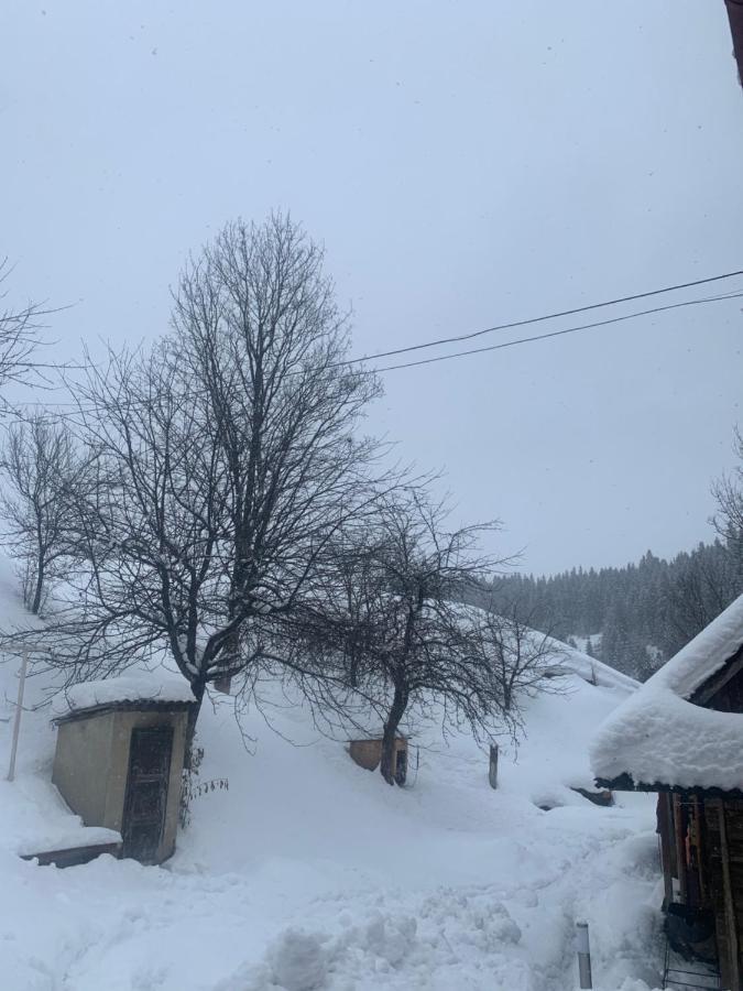 Cottage house 波多博韦齐 外观 照片
