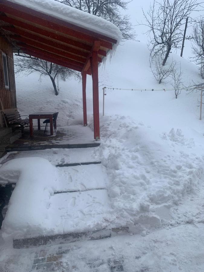 Cottage house 波多博韦齐 外观 照片