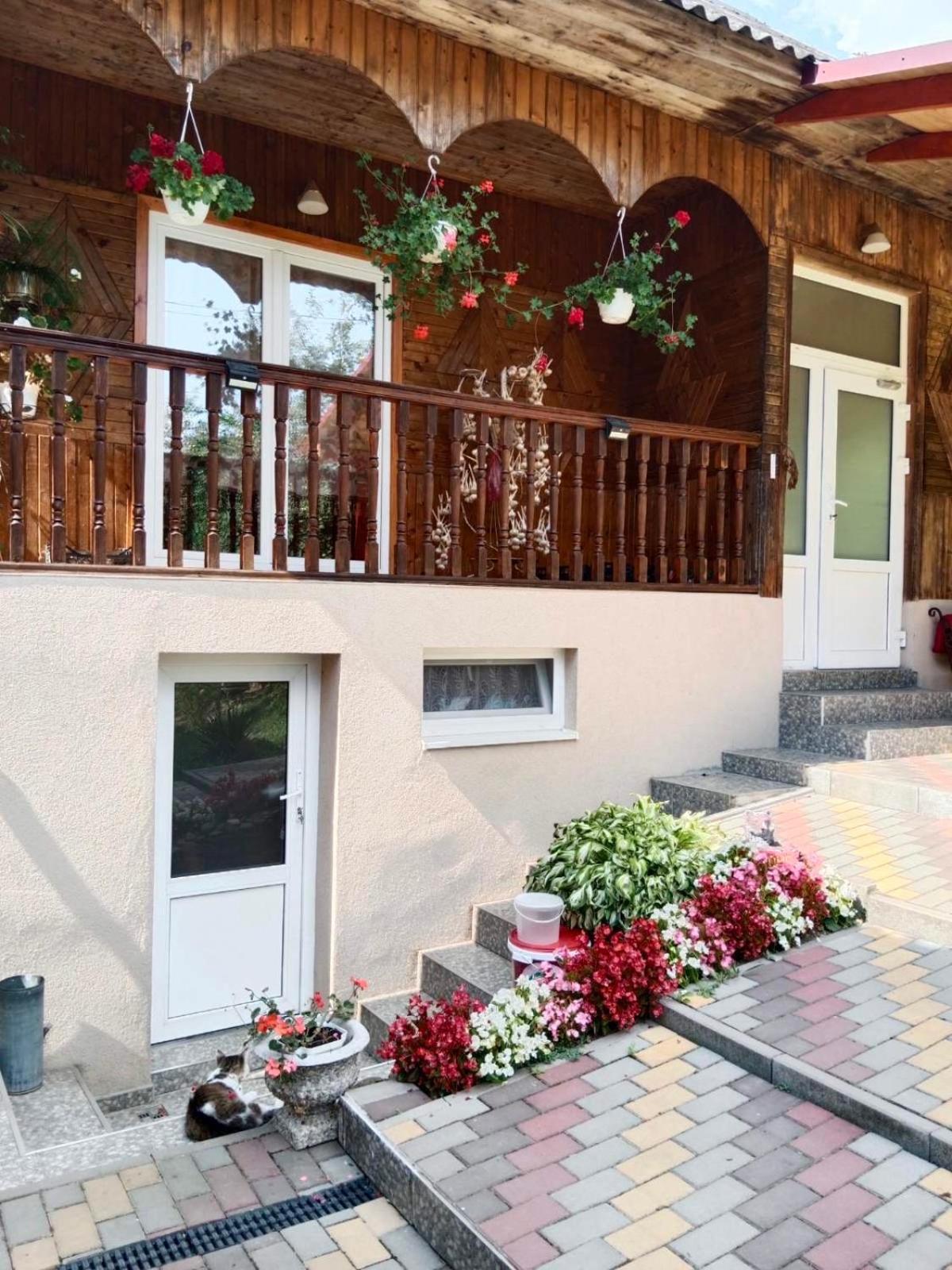 Cottage house 波多博韦齐 外观 照片